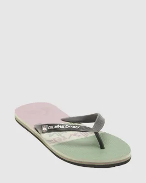 Mens Molokai Stripe Beach Flip-Flops